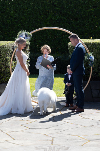 Bride, groom with a lovely white dog.